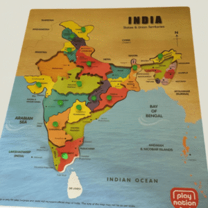 Indian State Wooden Pegged Puzzle
