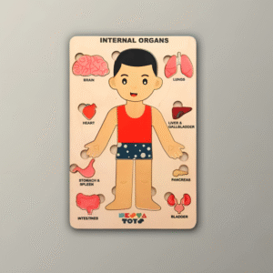 Human Body Internal Organs Puzzle